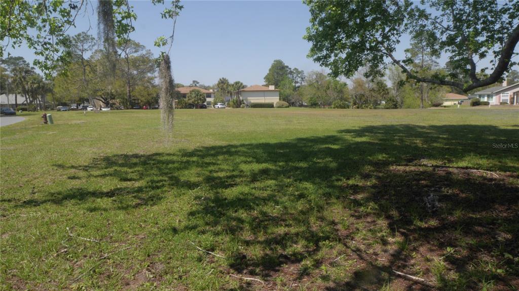 A large, grassy vacant lot is surrounded by trees and residential buildings — 0 NW 106TH PLACE, ALACHUA, FL