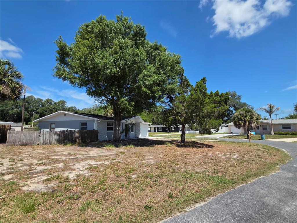 A single-story house with a large tree in the front yard and a wooden fence — 4616 IRENE LOOP, NEW PORT RICHEY, FL
