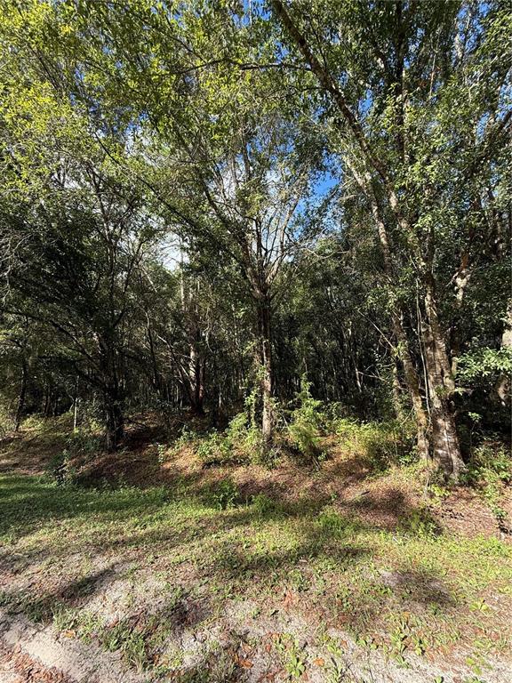 1166 HONEYTREE STREET, BUNNELL, FL — photo 5 of 8