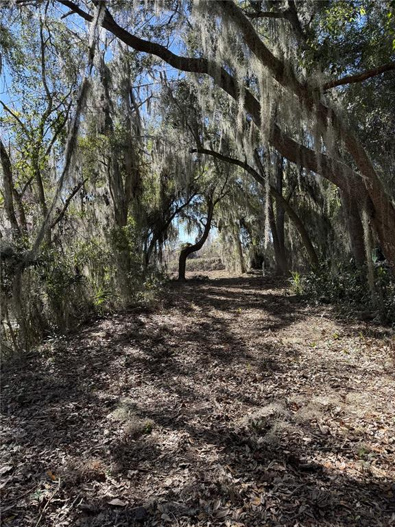 OCKLAWAHA DRIVE, LEESBURG, FL — photo 2 of 8