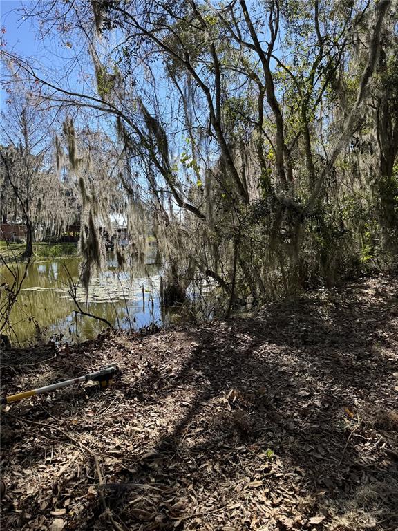 OCKLAWAHA DRIVE, LEESBURG, FL — photo 3 of 8