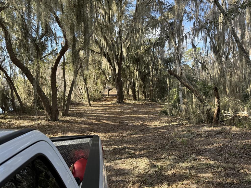 A view from the back of a truck looking down a dirt path through wooded land — OCKLAWAHA DRIVE, LEESBURG, FL