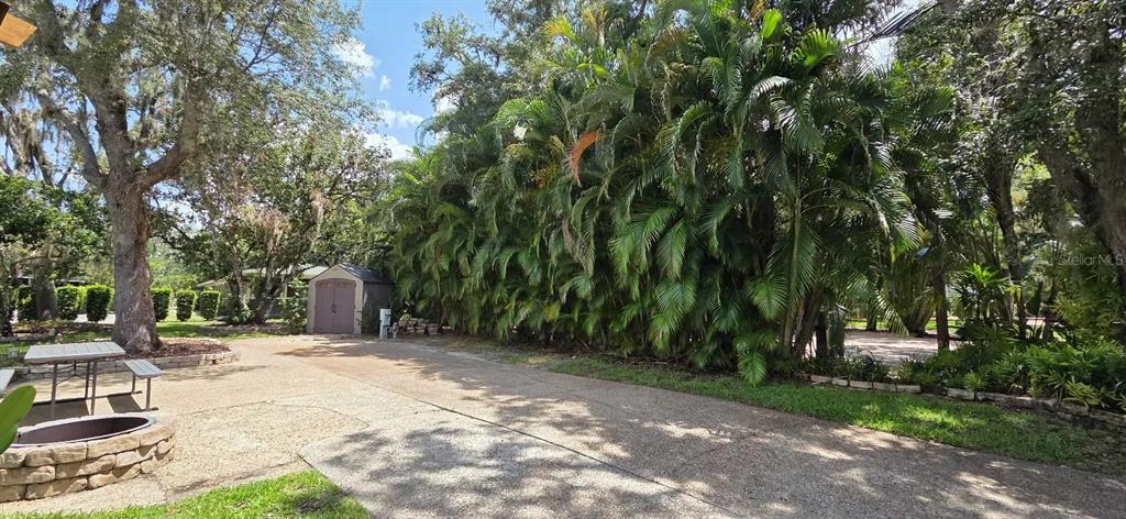 A paved driveway leads to a storage shed surrounded by lush palm trees and large oaks — 374 BEAR TRAIL, RIVER RANCH, FL