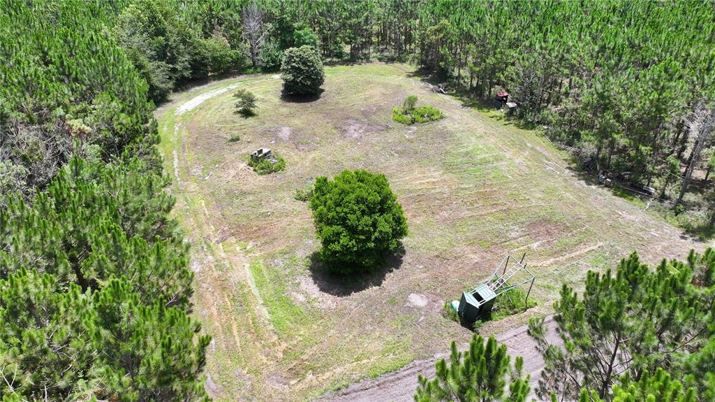 An aerial view shows a cleared grassy lot surrounded by dense pine trees — TBD SE 154TH AVENUE, WHITE SPRINGS, FL