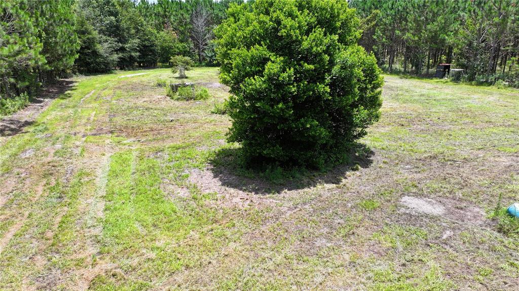 An aerial view of a grassy, partially cleared lot with a large central bush — TBD SE 154TH AVENUE, WHITE SPRINGS, FL