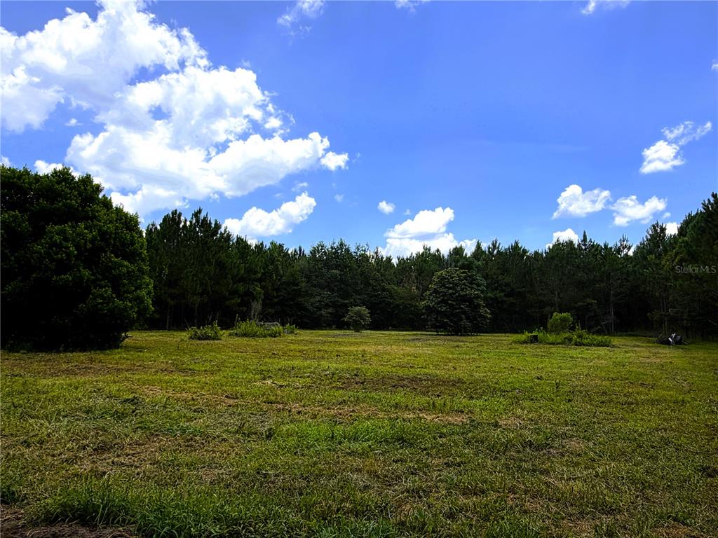 A large, grassy, open field is surrounded by a dense forest under a blue sky — TBD SE 154TH AVENUE, WHITE SPRINGS, FL