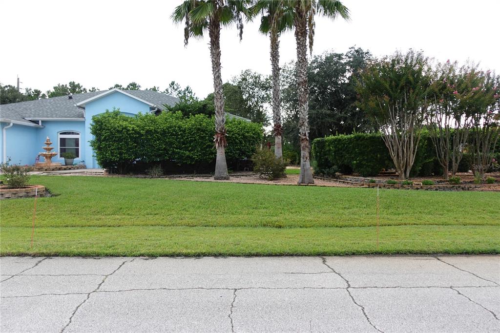 A light blue house with a fountain and palm trees sits behind a grassy lawn — 85 LANCELOT DRIVE, PALM COAST, FL