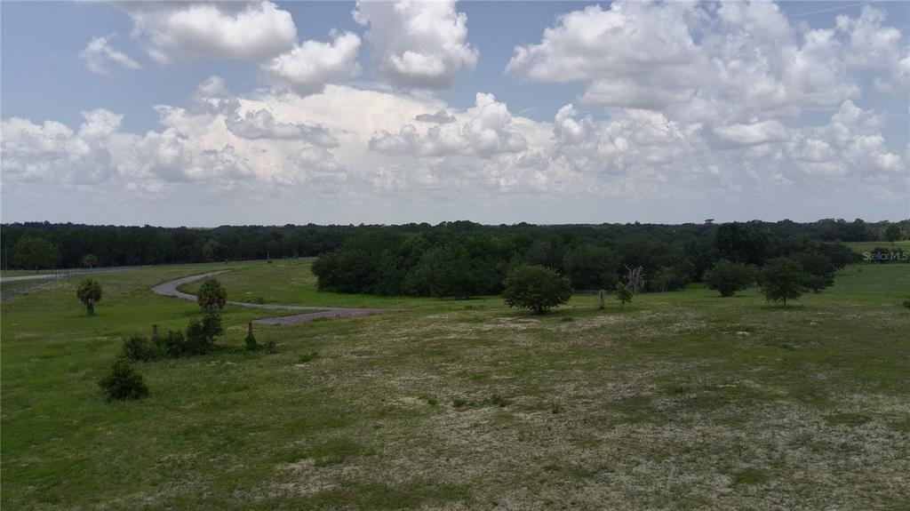 A wide, grassy field with scattered trees and a winding dirt path under a cloudy sky — 4557 GLEN SAINT MARY ROAD, LAKE WALES, FL