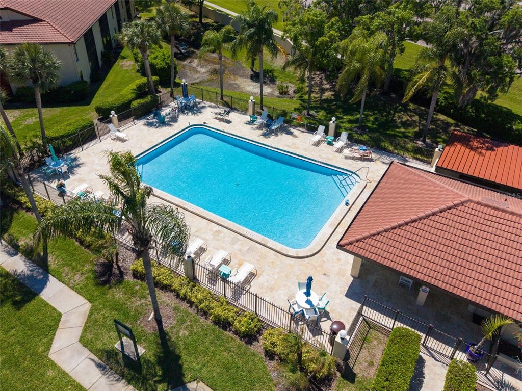 An aerial view of a rectangular swimming pool surrounded by a patio, lounge chairs, and landscaping — 1801 E LAKE ROAD UNIT 20C, PALM HARBOR, FL