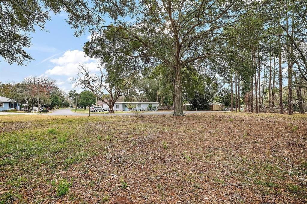 GROVEMONT ESTATES ROAD, GROVELAND, FL — photo 2 of 8