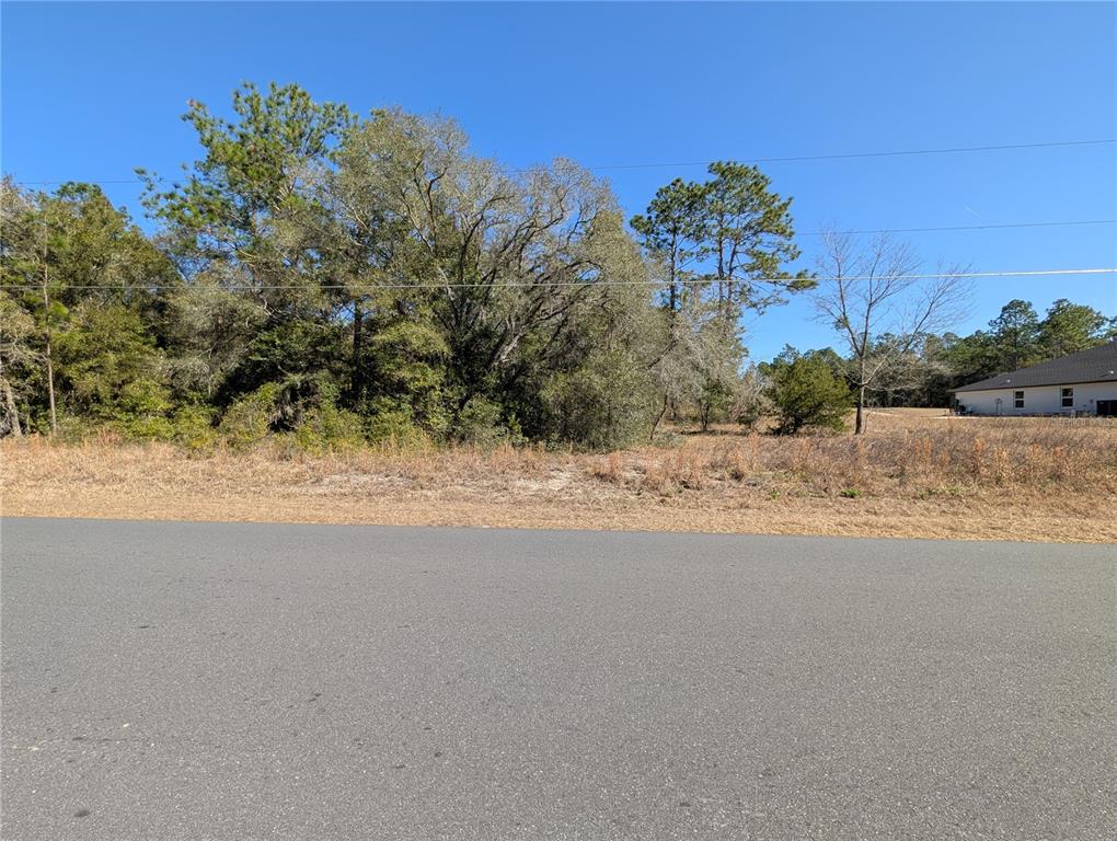 A paved road runs in front of a vacant, wooded lot under a clear blue sky — SW SOUNDVIEW DRIVE, DUNNELLON, FL