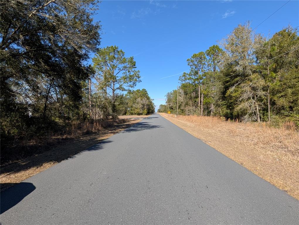 A paved road stretches into the distance, flanked by trees and dry grass under a sky — SW SOUNDVIEW DRIVE, DUNNELLON, FL