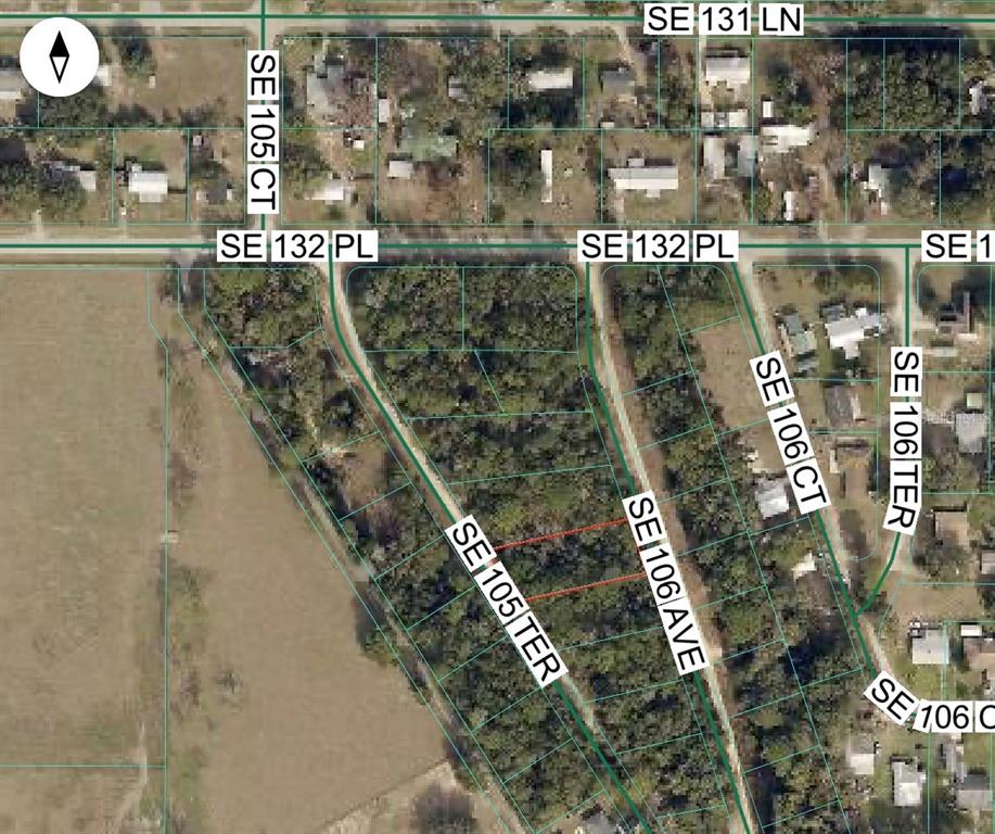 SE 105 TH TERRACE, OCKLAWAHA, FL — photo 2 of 2