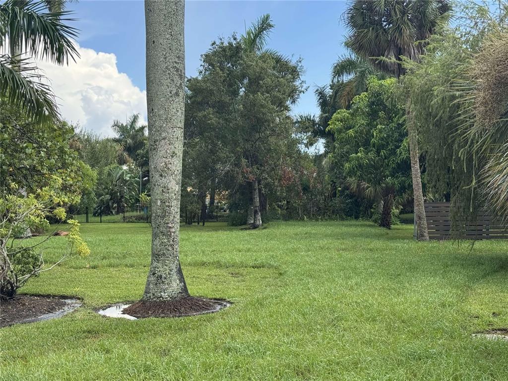 A grassy backyard features a large palm tree, various shrubs, and a wooden fence — 325 W WILLIAM STREET, PUNTA GORDA, FL