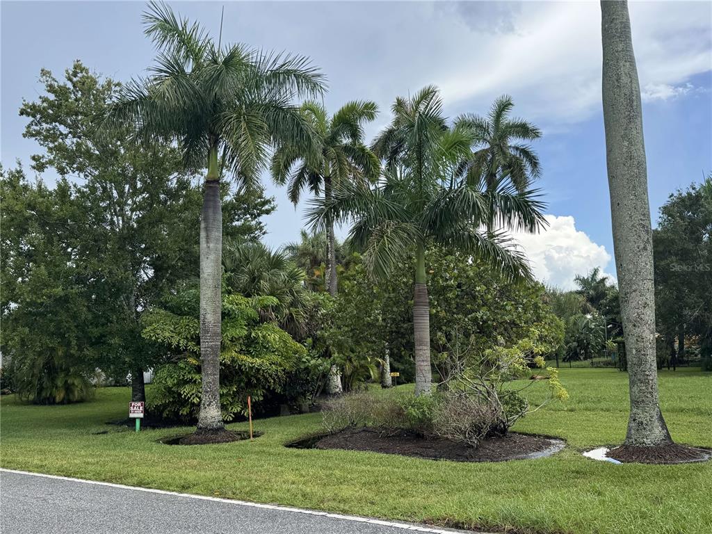 A grassy lot features several tall palm trees and a for sale sign — 325 W WILLIAM STREET, PUNTA GORDA, FL