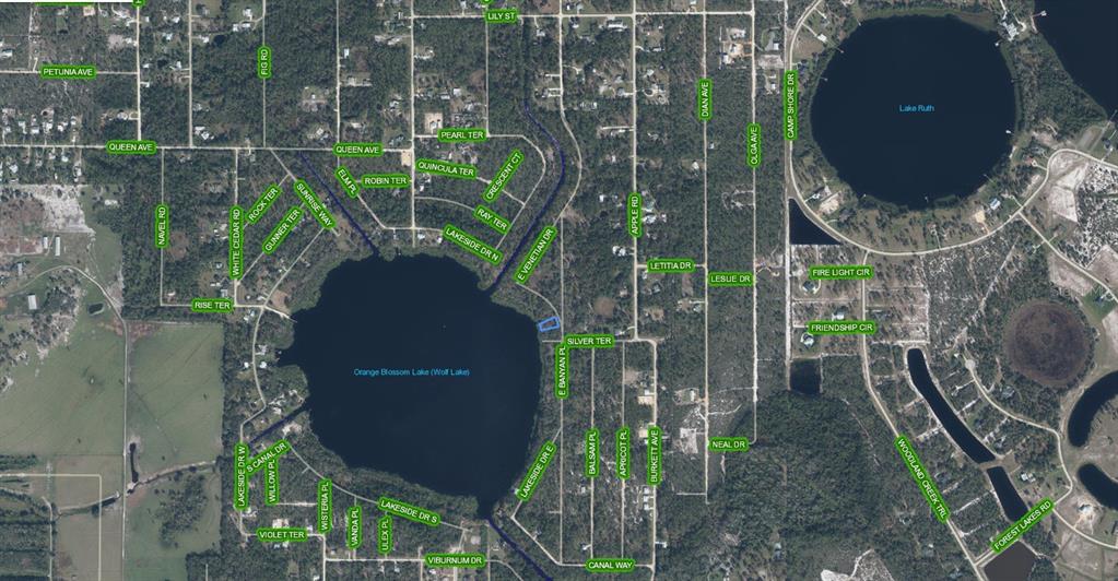 This is an aerial map showing Orange Blossom Lake and surrounding residential streets — 6407 E BANYAN PLACE, SEBRING, FL