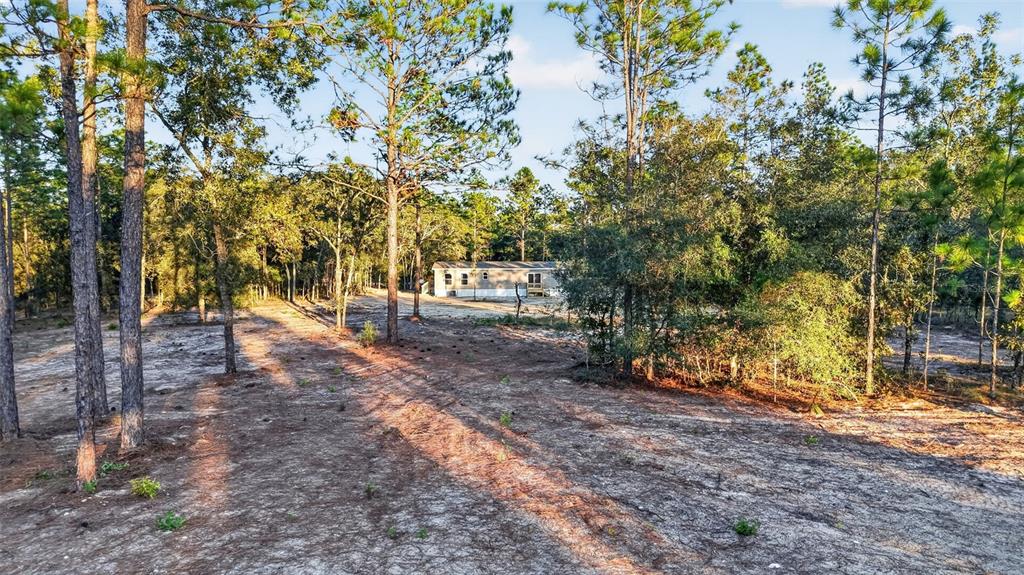 170 NE 138TH AVENUE, WILLISTON, FL — photo 4 of 29