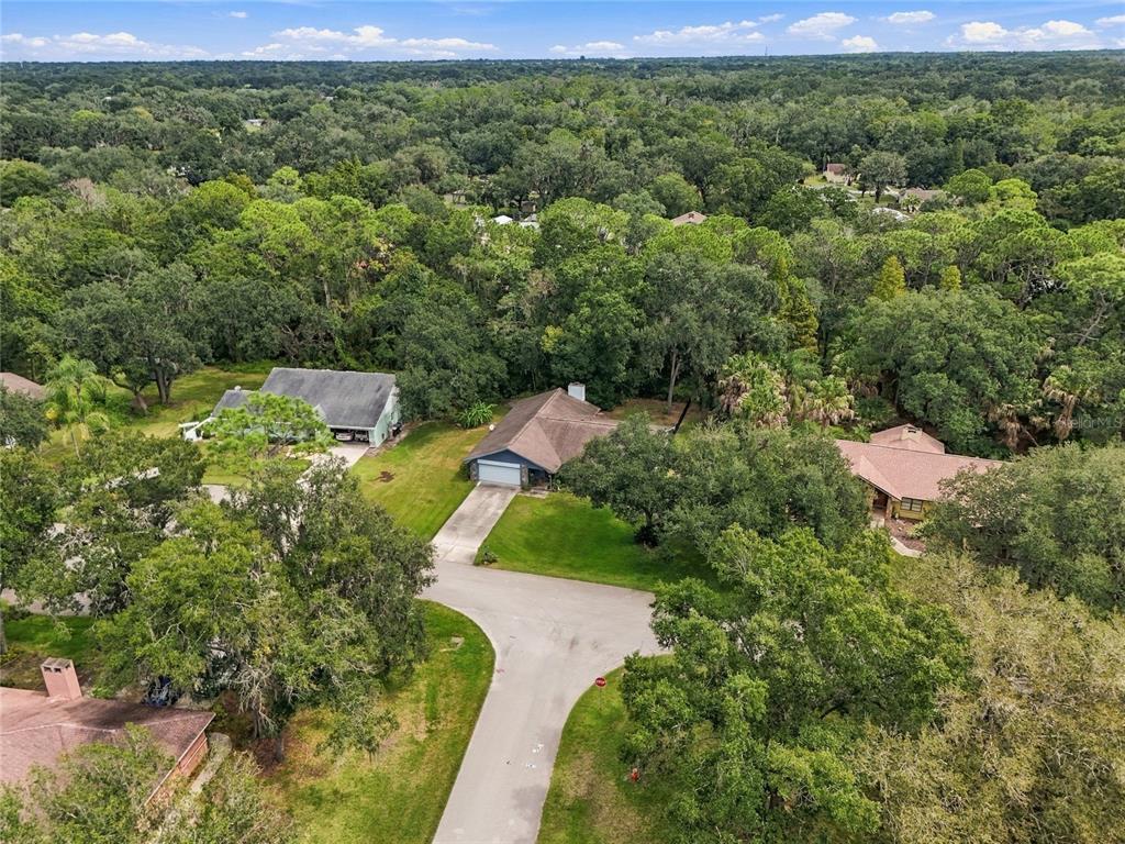 5614 TREE STAND LANE, LAKELAND, FL — photo 5 of 30