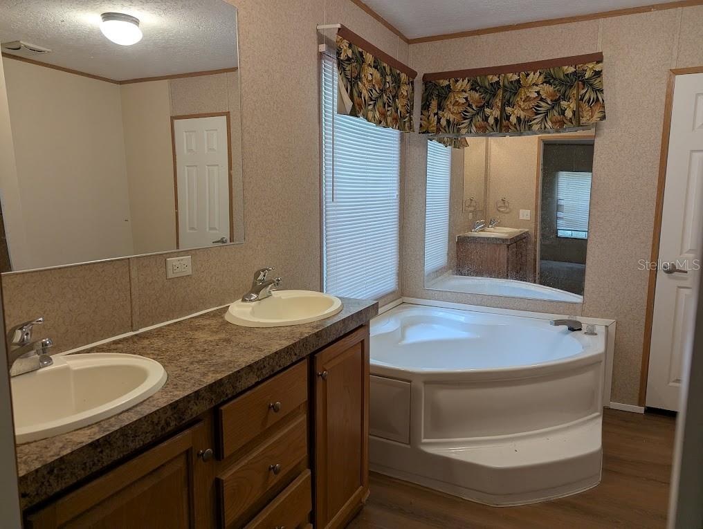 A bathroom features a double vanity with laminate countertops and a corner soaking tub — 15319 SW 114TH PLACE, ARCHER, FL
