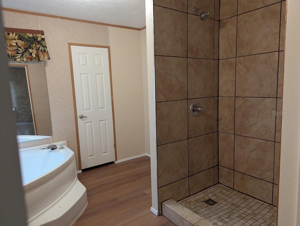 A bathroom features a tiled walk-in shower, a corner soaking tub, and wood-look flooring — 15319 SW 114TH PLACE, ARCHER, FL