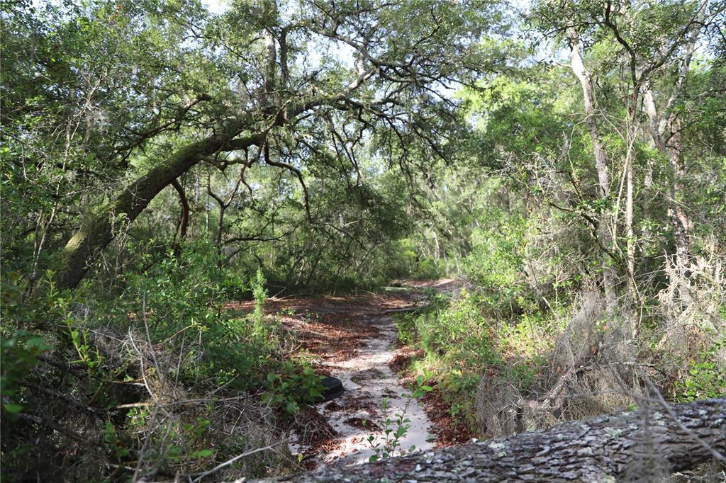 A sandy path winds through a wooded area with dense trees and hanging Spanish moss — 00 STATE ROAD 100, KEYSTONE HEIGHTS, FL