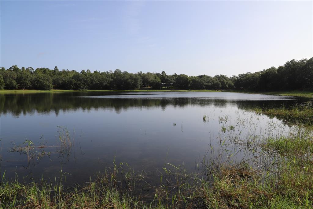 A calm lake is surrounded by a dense forest under a clear blue sky — 00 STATE ROAD 100, KEYSTONE HEIGHTS, FL