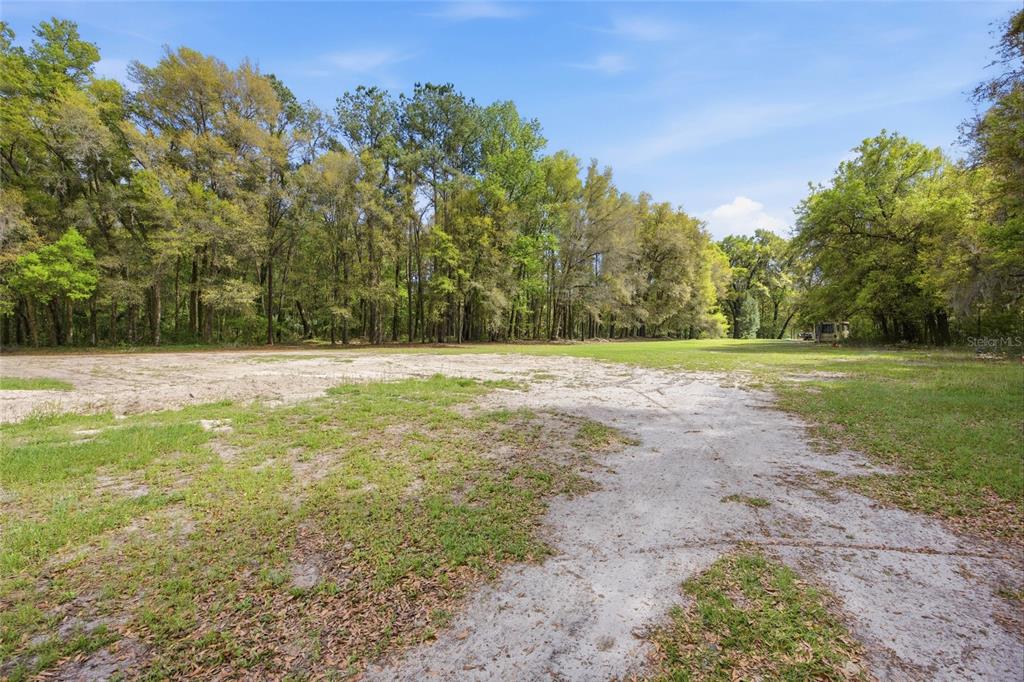 A large, cleared grassy lot bordered by a dense forest of tall trees — 3660 W HWY 329, REDDICK, FL