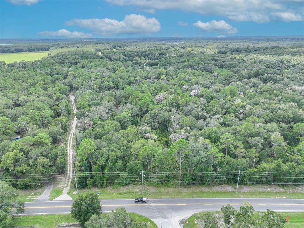 HWY 25, BELLEVIEW, FL — photo 3 of 15