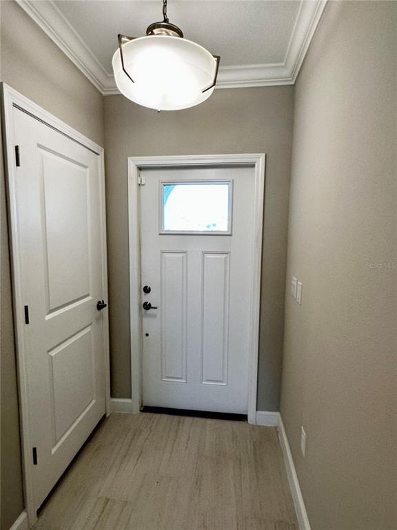 A small entryway features a white front door, a side door, and a pendant light — 5309 KELPER HOOK COURT, WIMAUMA, FL