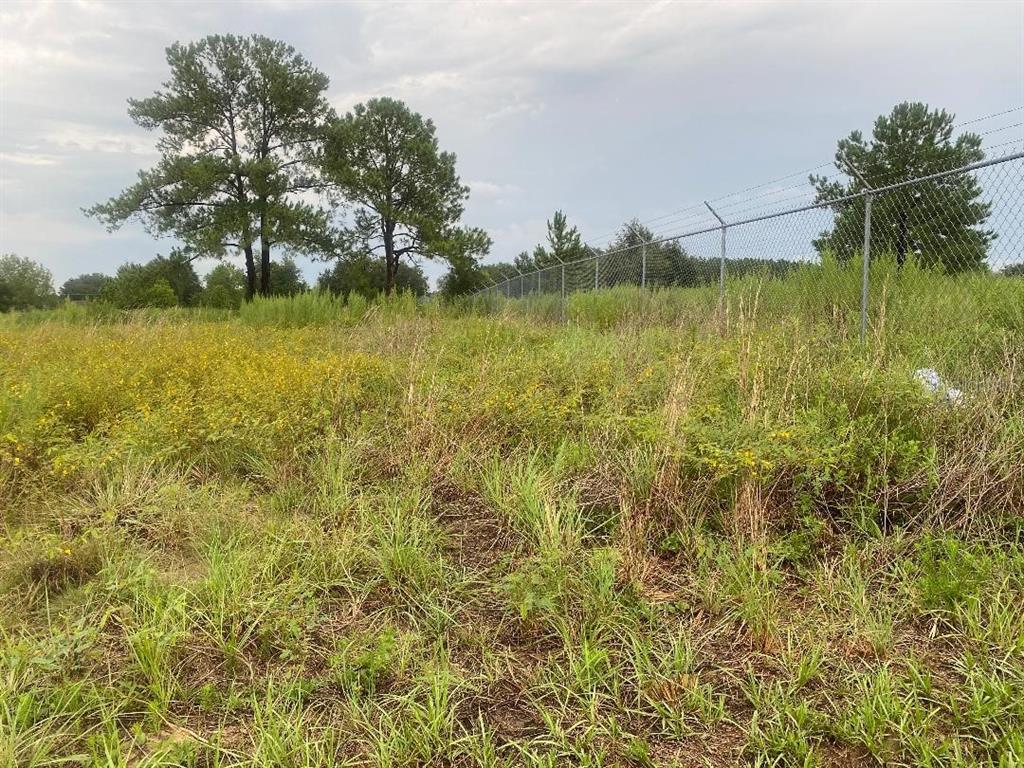 A chain-link fence with barbed wire runs along the edge of a grassy, wildflower-filled field — 241 CHESTNUT ROAD, OCALA, FL
