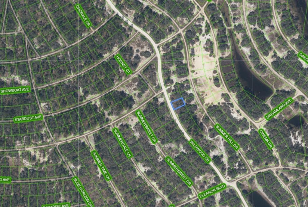 This is an aerial map showing a highlighted vacant lot located along a curved residential street — 323 WILDWOOD DRIVE, LAKE PLACID, FL