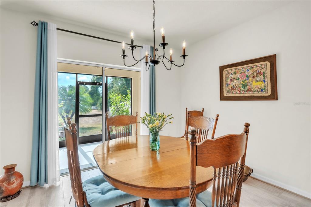 A dining room features a round wooden table, chairs with blue cushions, and a chandelier — 9527 SUNSTONE BOULEVARD, THONOTOSASSA, FL