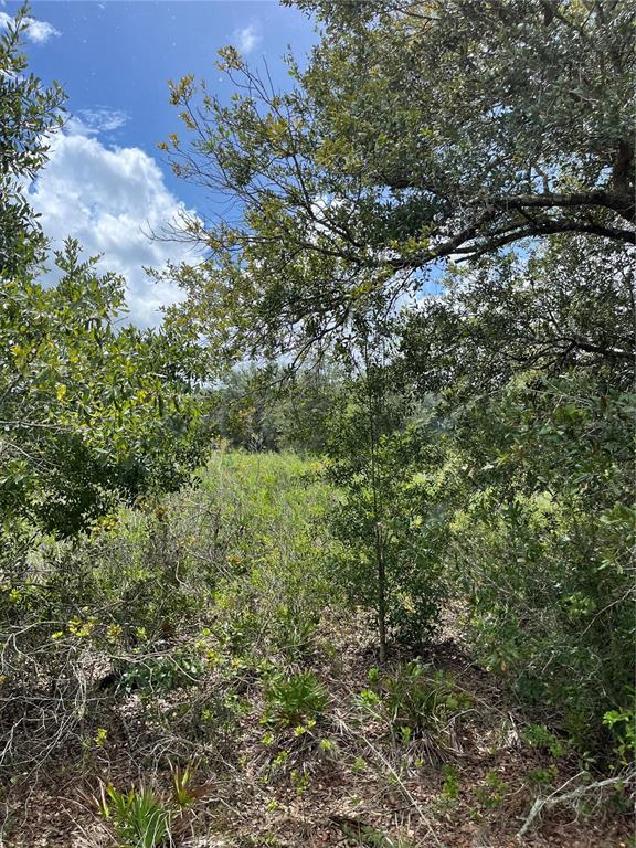 15030 NW 306TH STREET, OKEECHOBEE, FL — photo 2 of 6