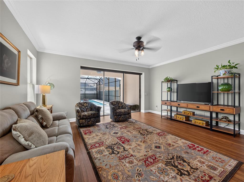 A living room features wood flooring, a patterned area rug, a television console, and sliding doors — 9043 HORIZON POINTE TRAIL, WINDERMERE, FL