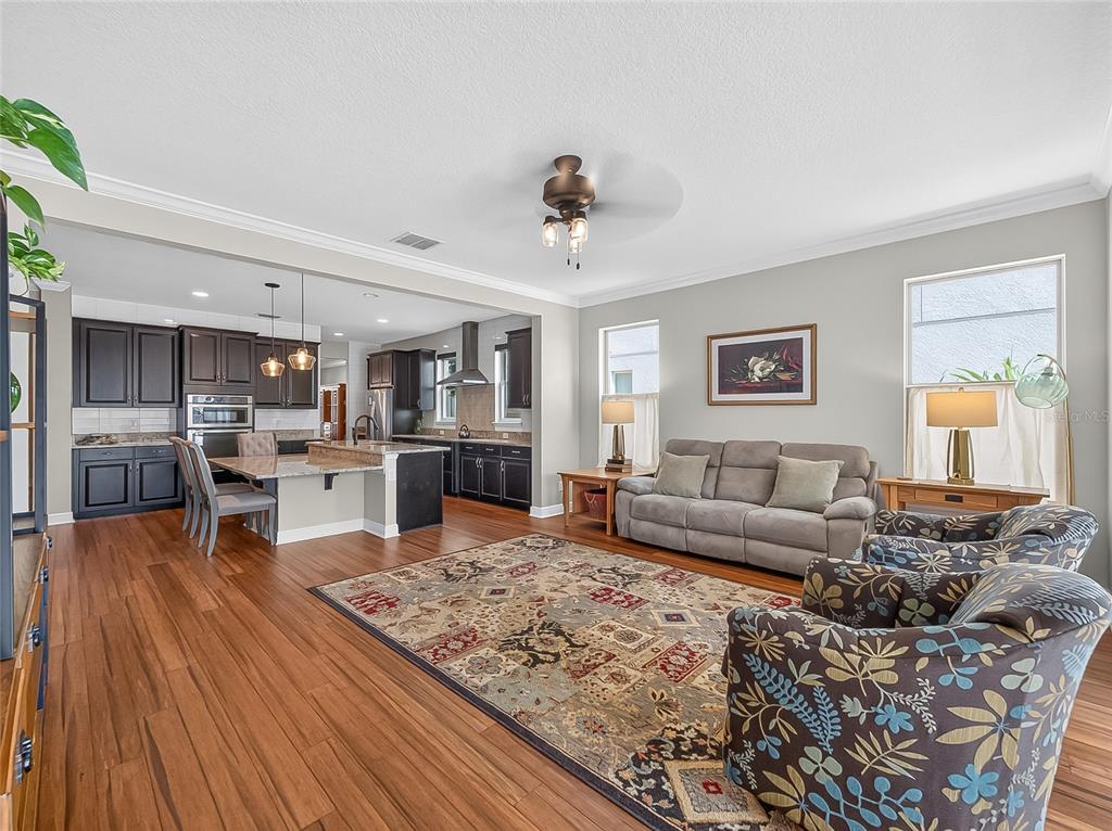 An open-concept living room and kitchen featuring wood flooring, dark cabinetry, and a patterned rug — 9043 HORIZON POINTE TRAIL, WINDERMERE, FL
