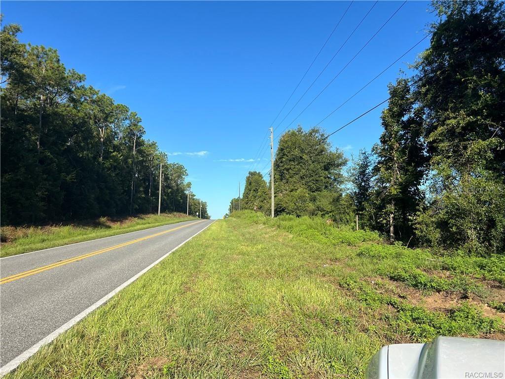 A paved road runs alongside a grassy lot bordered by trees under a clear sky — 3261 E STAGE COACH TRAIL, INVERNESS, FL