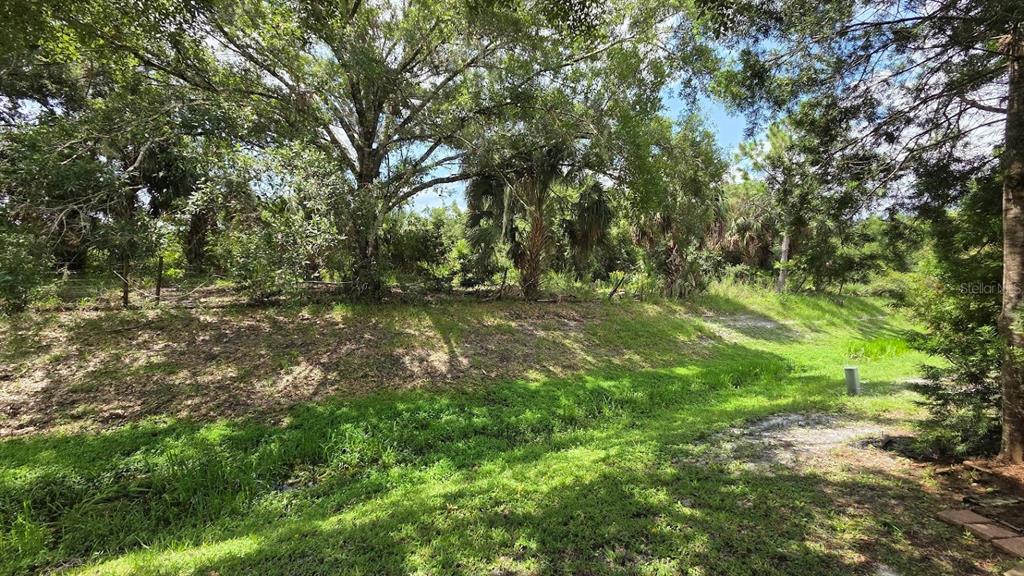 A grassy slope leads up to a wooded area with mature trees and palm trees — 171 APPALOOSA TRAIL, RIVER RANCH, FL