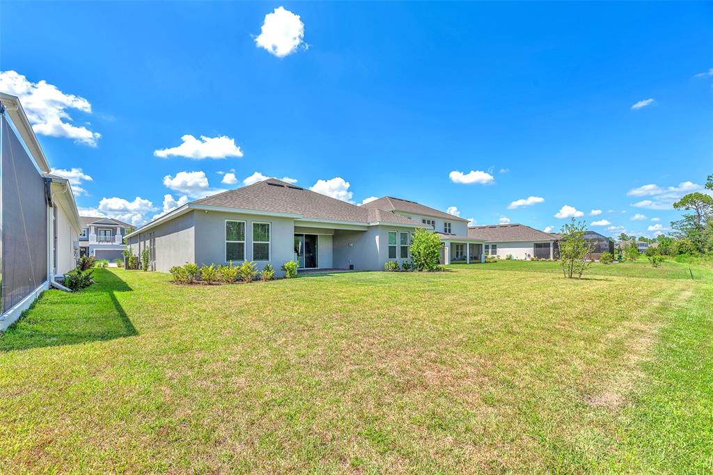The backyard of a single-story house features a large lawn and a covered patio area — 33372 LANDSMAN LOOP, WESLEY CHAPEL, FL