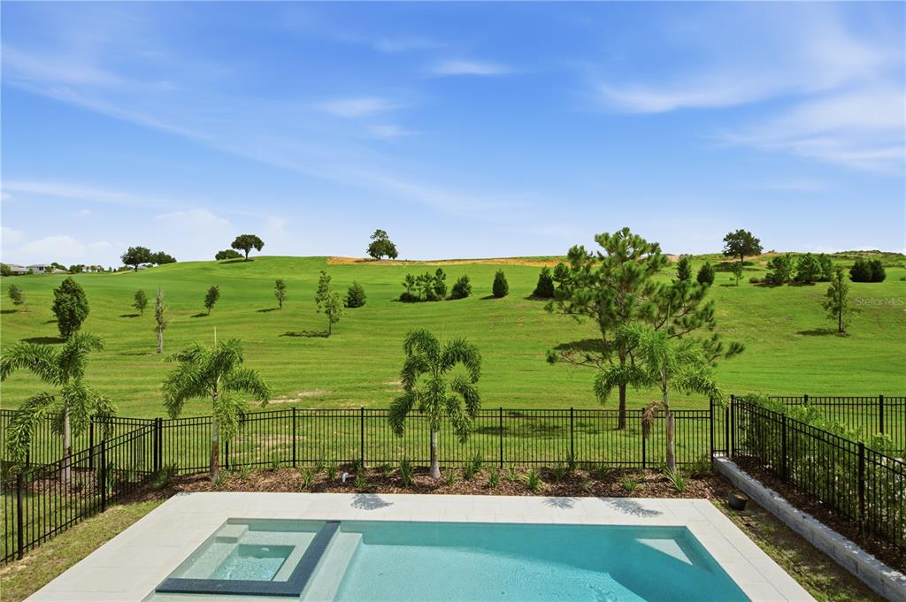 A swimming pool with a spa overlooks a grassy hill and a black metal fence — 16114 VOLTERRA POINT, BELLA COLLINA, FL