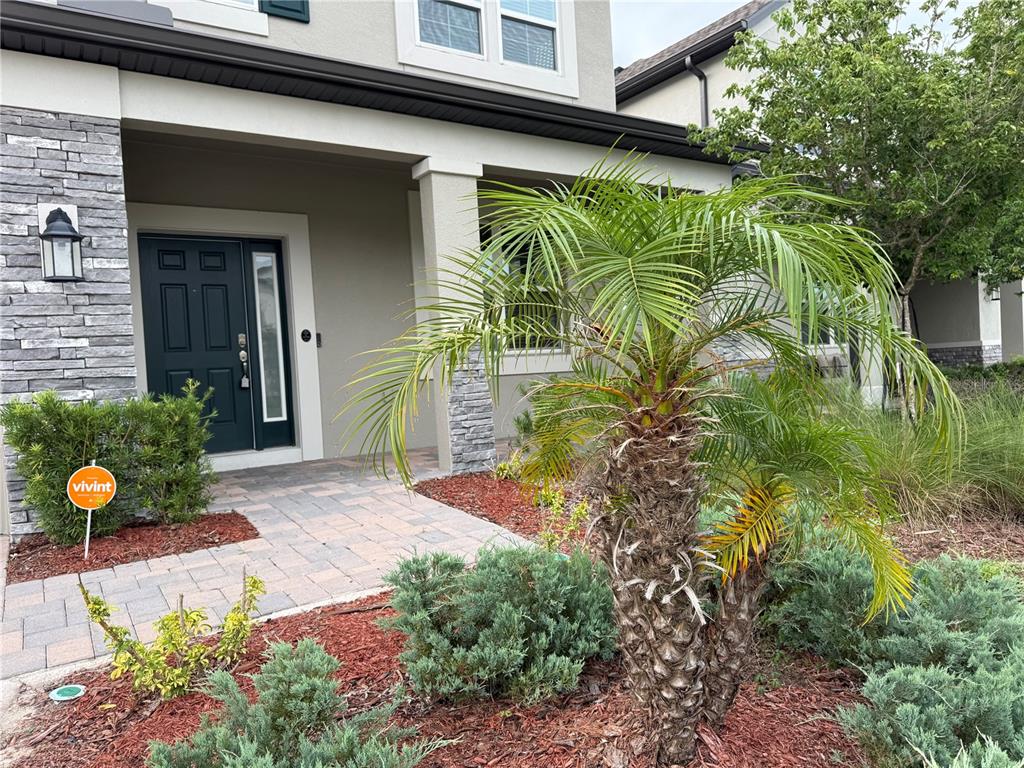 The exterior of a house features a stone-accented entryway, a palm tree, and landscaping — 33263 SYCAMORE LEAF DRIVE, WESLEY CHAPEL, FL