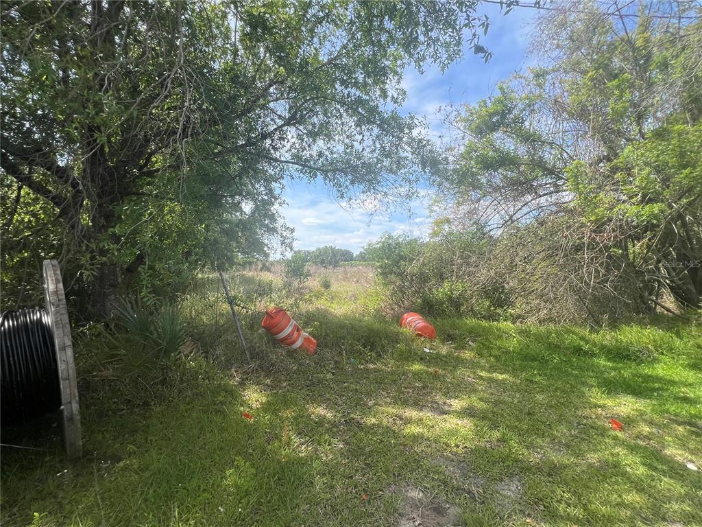 A grassy, overgrown lot with trees, shrubs, and two orange construction barrels — 0 REE LANE, KISSIMMEE, FL