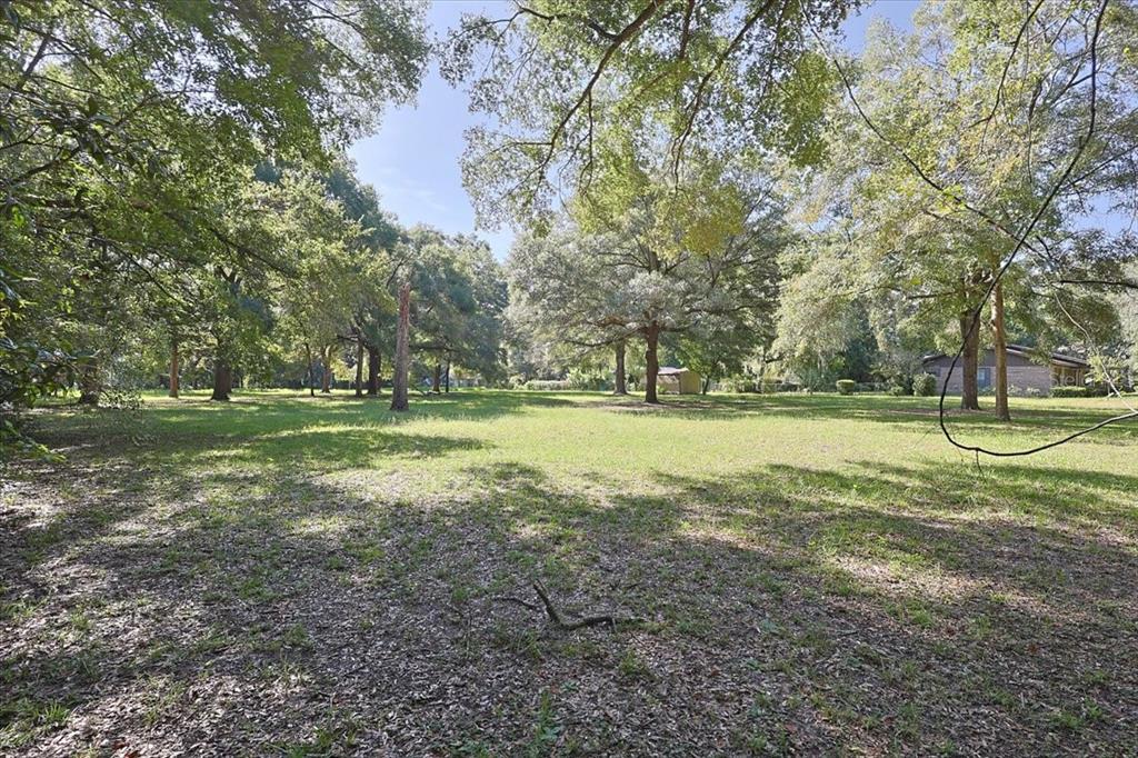 NW 194TH AVENUE, HIGH SPRINGS, FL — photo 3 of 4