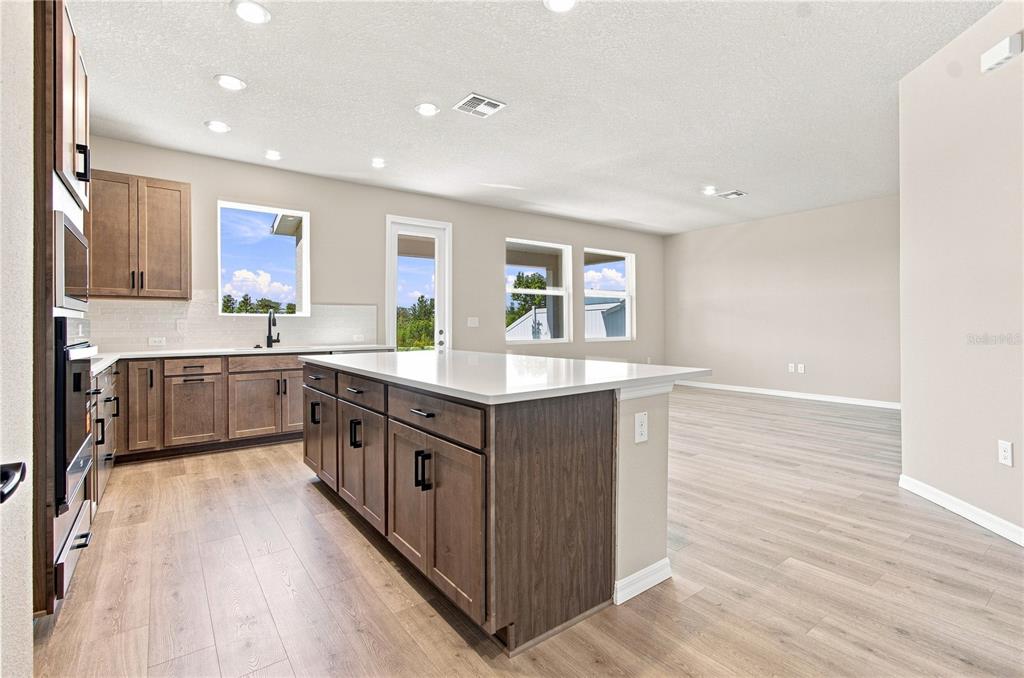This is a floor plan of a home's first level featuring a garage and lanai — 3417 YELLOW CASSIA DRIVE, WESLEY CHAPEL, FL