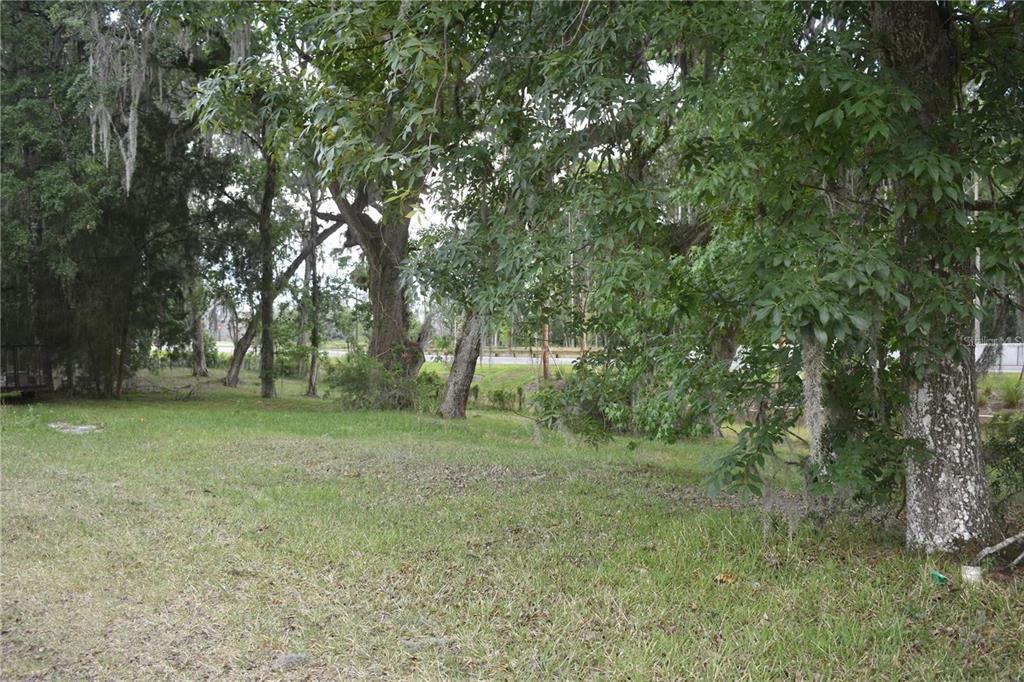 A grassy, tree-filled lot with Spanish moss and a road visible in the background — LOT 57 BLK C LEXINGTON CIRCLE, WILDWOOD, FL
