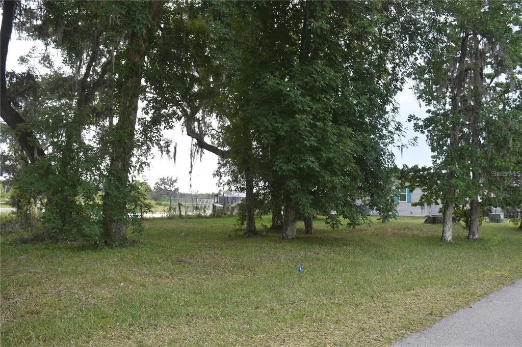 A grassy, tree-filled lot sits next to a light-colored house with blue shutters — LOT 57 BLK C LEXINGTON CIRCLE, WILDWOOD, FL