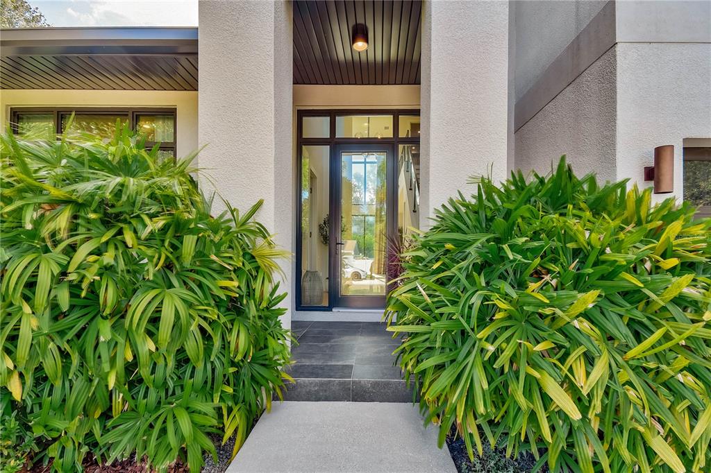 The front entrance features a glass door flanked by large palm bushes and stone steps — 1551 PASADENA DRIVE, DUNEDIN, FL