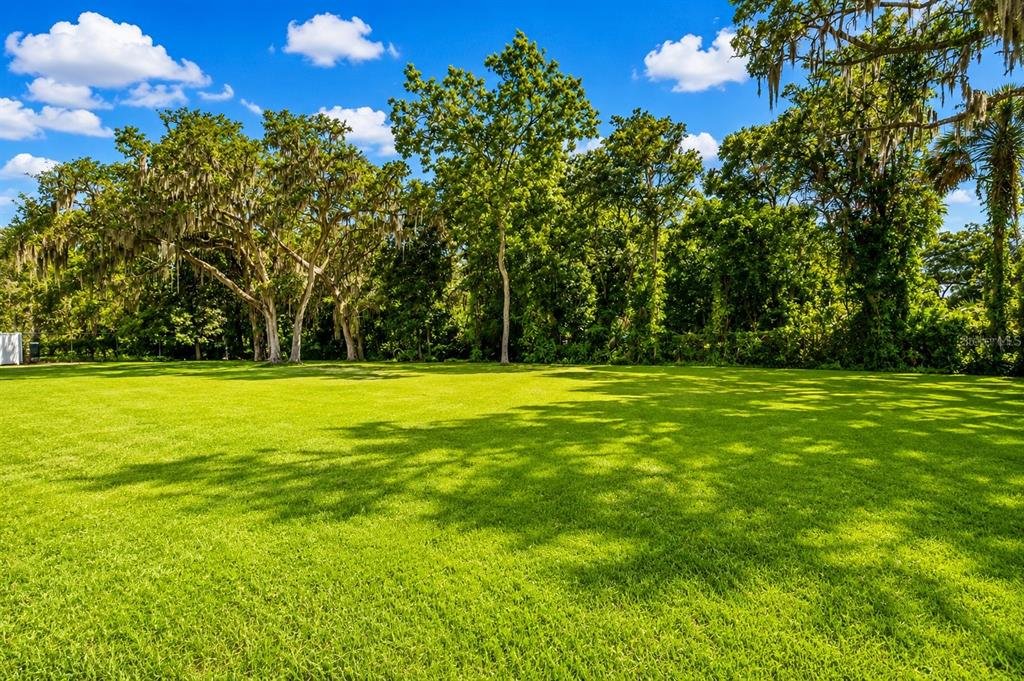 A large, mowed green lawn sits in front of a dense line of mature trees — RIVERVIEW DRIVE, RIVERVIEW, FL