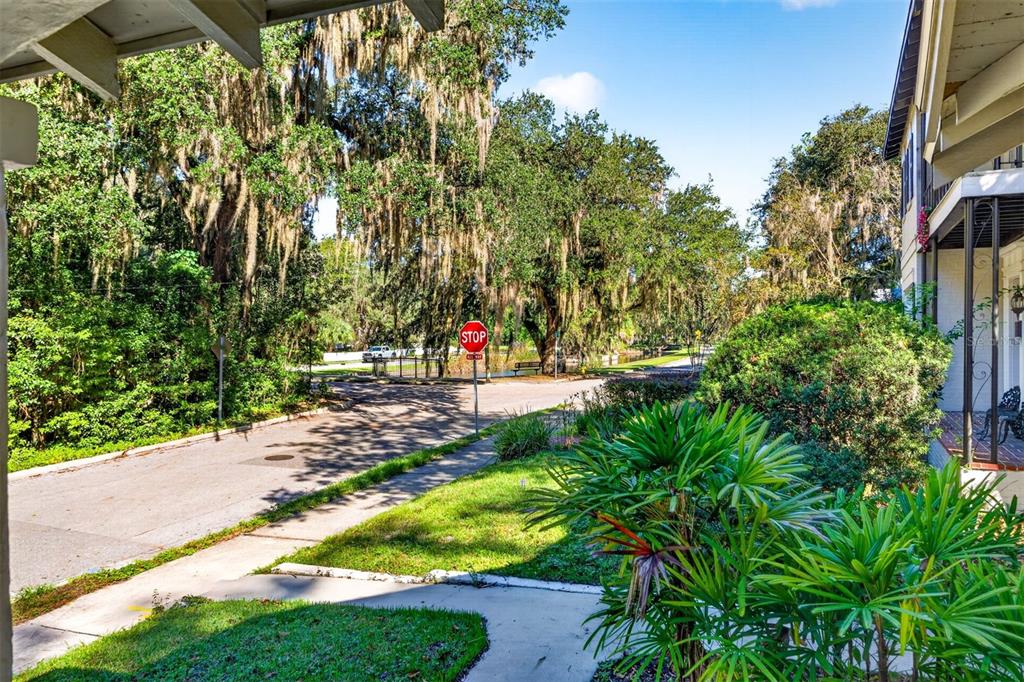421 NE BOULEVARD, GAINESVILLE, FL — photo 2 of 45