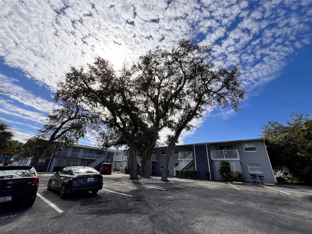 A large tree stands in the parking lot in front of a two-story apartment building — 1710 S WASHINGTON AVENUE UNIT 16, TITUSVILLE, FL