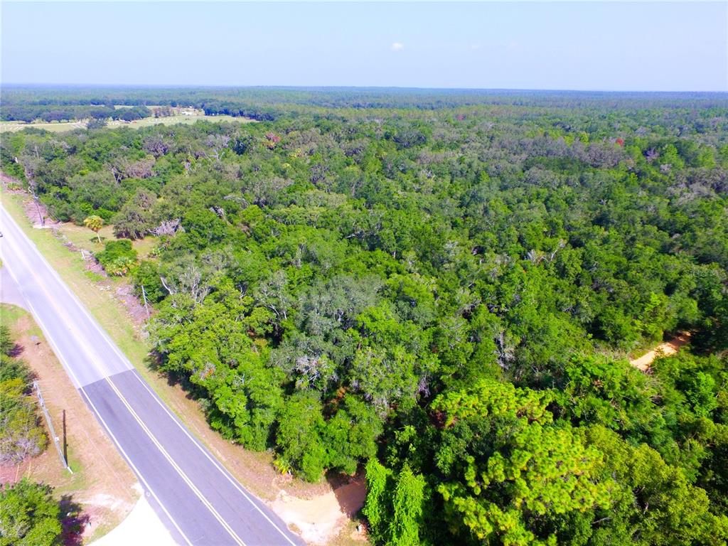 An aerial view shows a paved road bordering a large, densely wooded plot of land — 24601 SE HIGHWAY 42, UMATILLA, FL